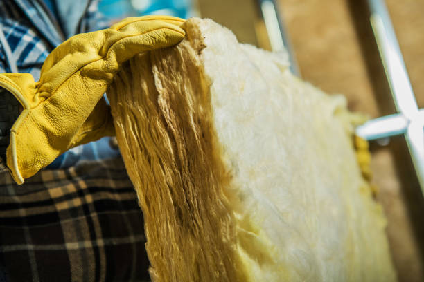 Best Commercial Insulation in Fris, CO