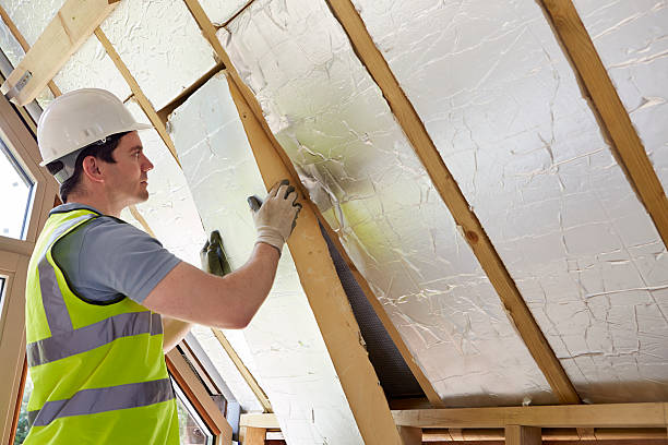 Best Residential Insulation in Fris, CO